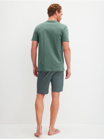 Calida Pyjama in dark glen