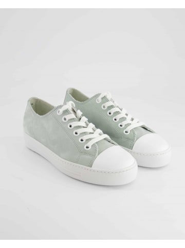 Paul Green Sneaker low in Grün