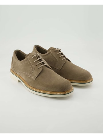 Pius Gabor Anzug- & Businessschuhe in Beige