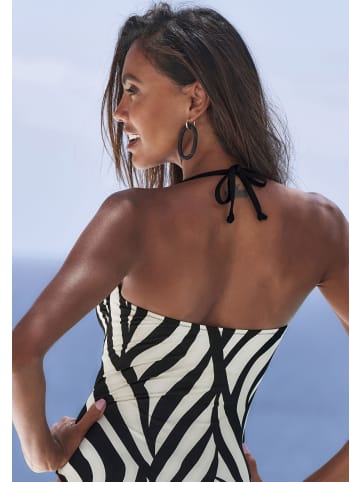 French Connection Badeanzug in schwarz-creme