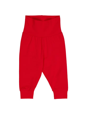 Fred´s World by GREEN COTTON Babyhose 2er-Pack in Pink/Red