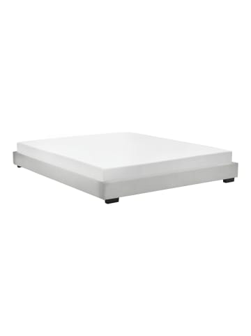 Corium Polsterbett Solingen in Weiß (B)140cm