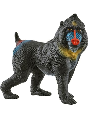 Schleich Wild Life Mandrill in Mehrfarbig ab 3 Jahre