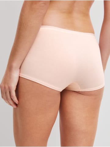 Calida Panty in creole pink