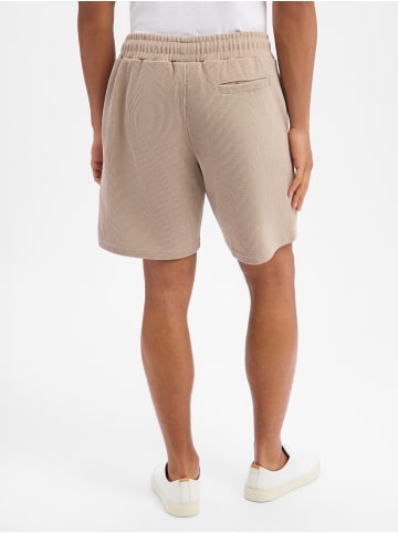 PEGADOR Shorts Lagos in kitt