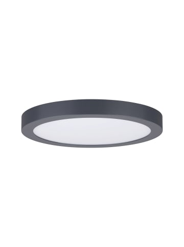 paulmann LED Panel Abia rund 22W in Darkgrey