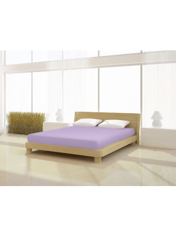 Mr.Sandman Spannbetttuch Elastan basic 180-200 x 200-220 cm in orchidee