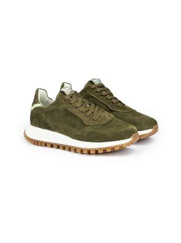 LLOYD Sneaker Low in Grün