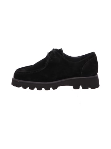 Sioux Schnürschuh in schwarz