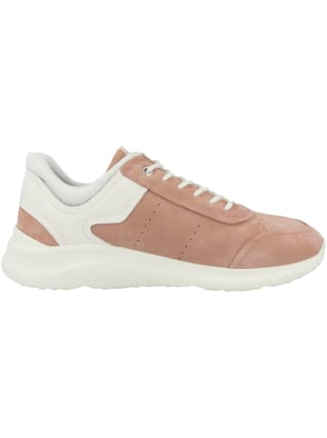 Geox Sneaker low D Diodiana B in orange