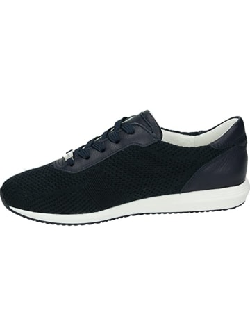 ara Sportschuhe in blau