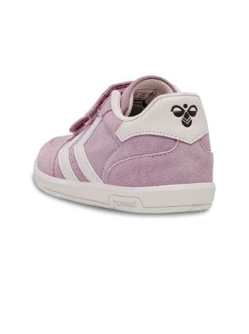Hummel Klettverschluss Sneaker Victory Suede Lebensstil Kinder in ZEPHYR