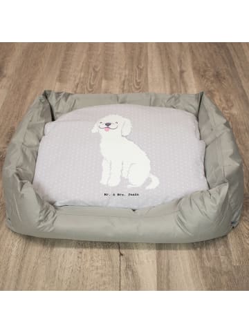 Mr. & Mrs. Panda Hundekörbchen Kleinpudel Lebensretter ohne Spruch in Grau Pastell