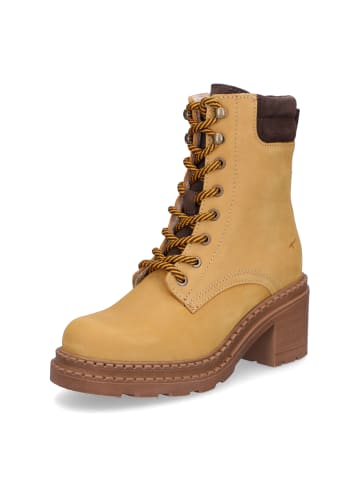 Tamaris Schnürstiefelette in Ocker