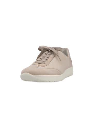Semler Sneaker in beige