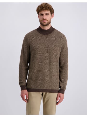 Pierre Cardin Pullover in Lark