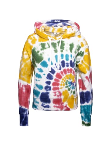 Champion Kapuzenpullover Hooded in multicolor