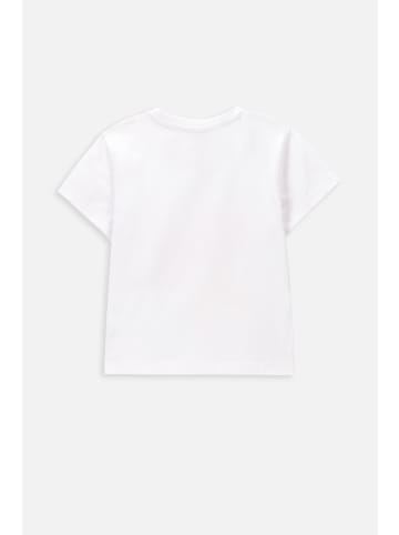 Coccodrillo T-Shirt mit kurzen Ärmeln in weiß