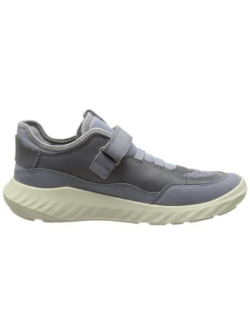 Ecco Sneaker für Jungen in blau