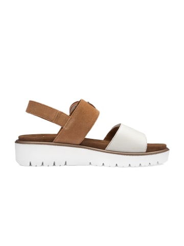 ara Pump in creme