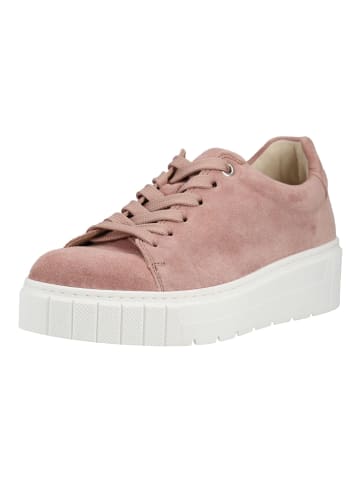 Gabor Sneaker in Dunkelrosa