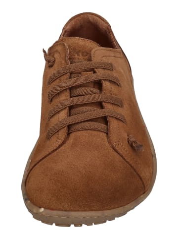 KOEL Sneaker Low IZZIE  in braun