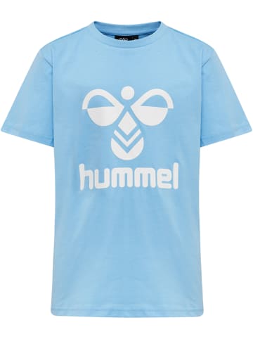 Hummel Hummel T-Shirt Hmltres Jungen in AIRY BLUE