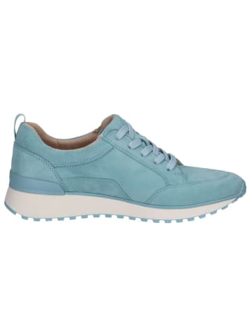 Caprice Sneaker in LT.BLUE SUEDE