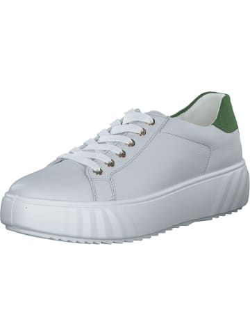 ara Schnürschuhe in NEBBIA GRASS