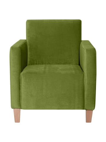 others SESSEL Karol Bezug Samtvelours Buche natur / oliv