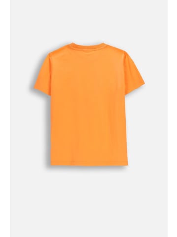 Coccodrillo Baumwoll-T-Shirt mit kurzen Ärmeln in orange