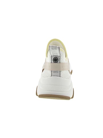 Steve Madden Sneaker low Weiß