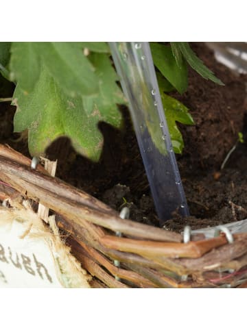 relaxdays 8x Bewässerungskugeln in Transparent