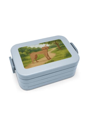 Mr. & Mrs. Panda Lunchbox Hund Dogge Design ohne Spruch in Blau Pastell