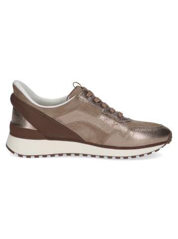 Caprice Sneaker Low in Beige