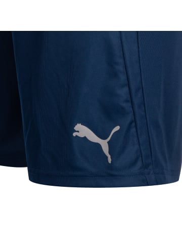 Puma Trainingsshorts TeamLIGA Training in blau / grün