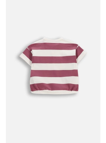 Coccodrillo T-Shirt mit kurzen Ärmeln in dunkelrot