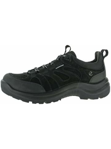 Ecco Wanderschuhe für Herren in orange