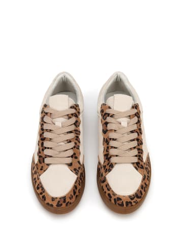 Wittchen Suede sneakers with eco-leather inserts in Beige