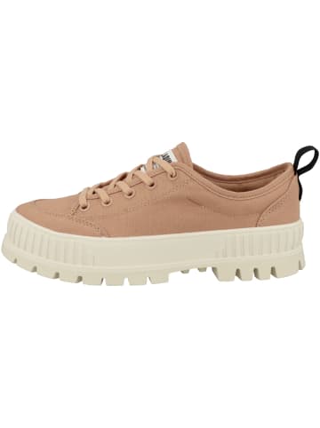 Palladium Sneaker low Pallashock Lo Org 2 in braun