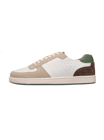 Strellson Sneaker 'Stripe Evans J in Grün'