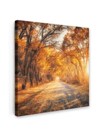 MuchoWow Leinwand bilder Waldweg (BxH)