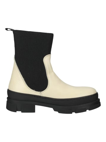 Steve Madden Stiefelette in Weiß/Schwarz