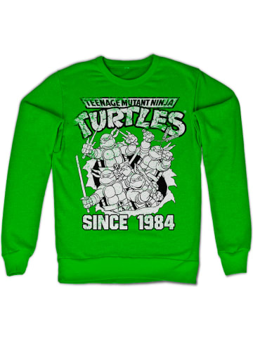 Teenage Mutant Ninja Turtles Pullover in Grün