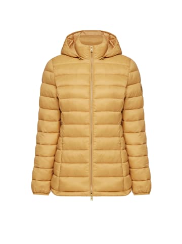 Polo Club Jacke in CAMEL