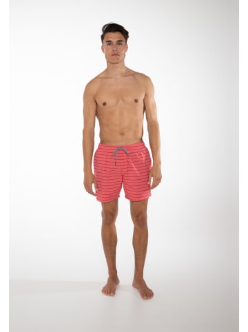 Protest " SHARIF in Deep Coral