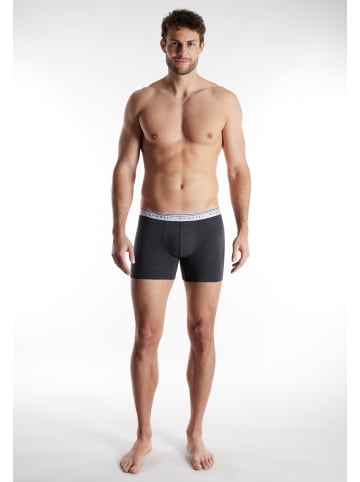 Bugatti Long Pants 3Er Pack Pisa in schwarz-dunkel-melange