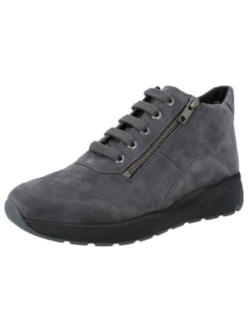 Solidus Winterstiefel für Damen in dunkelgrau in dunkel-grau