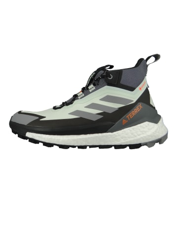 adidas Performance Halbschuhe Terrex Free Hiker 2 GTX grau