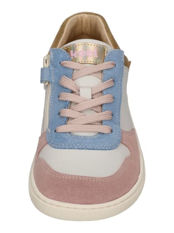 KOEL Sneaker Low DATE SUEDE  in bunt